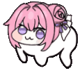 彩蛋猫咪